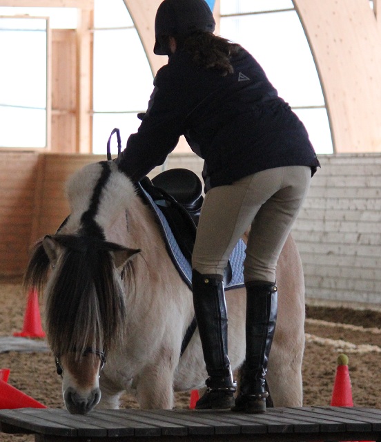 Haldol Kry och Ella