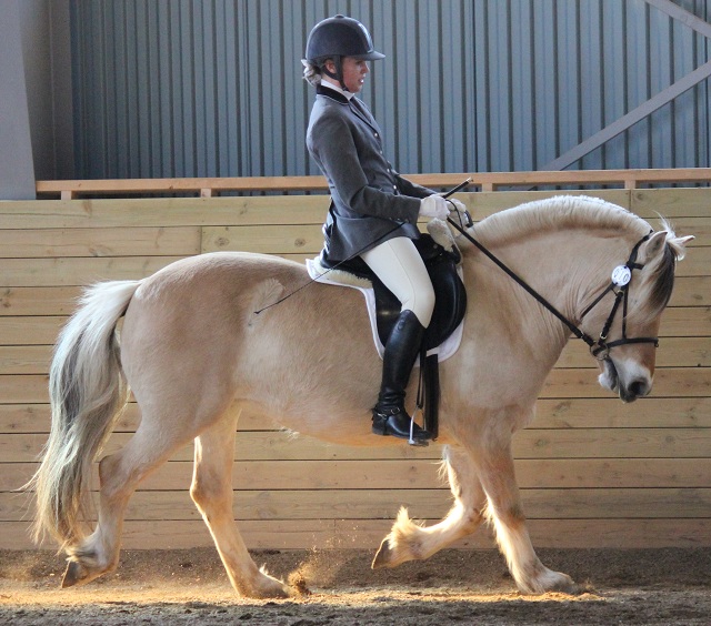 Ella och Desolett i collecting ring - snart start!