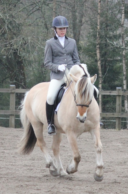 Desolett Kry 3271