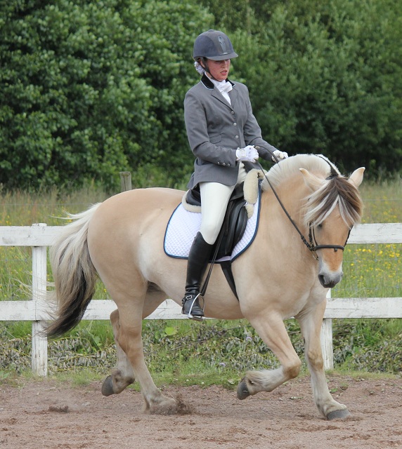 Desolett Kry 3271