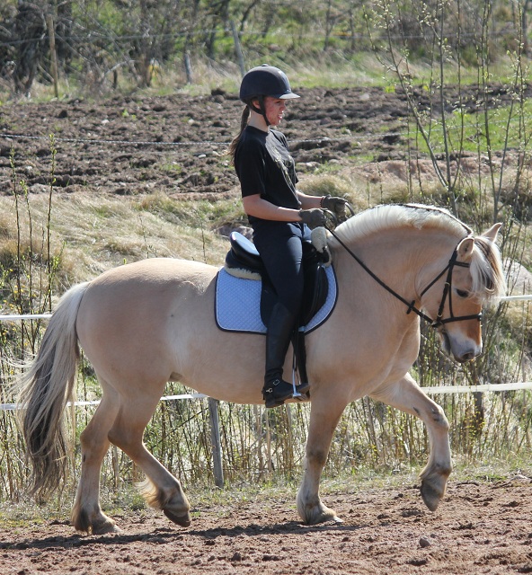 Desolett Kry 3271