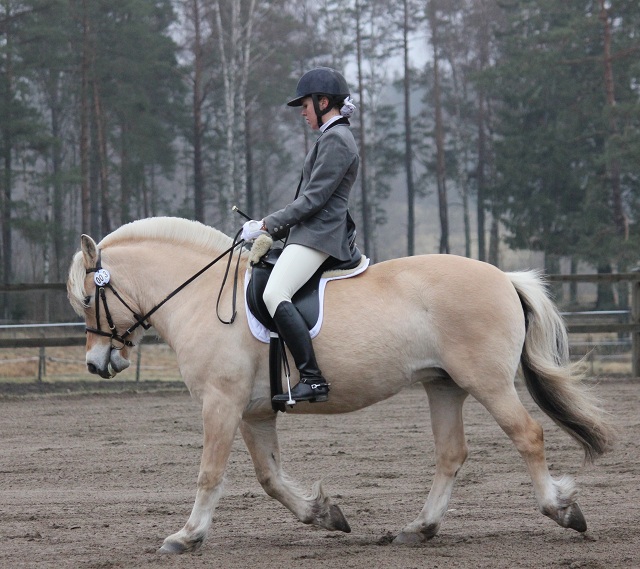 Desolett Kry 3271