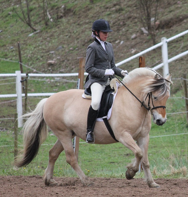 Desolett Kry 3271