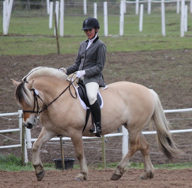 Desolett Kry 3271