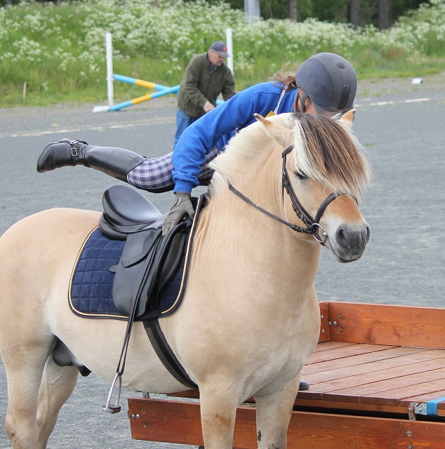 Haldol Kry 257 och Ella