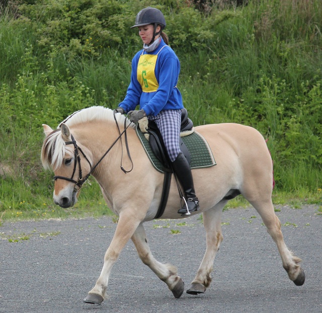 Desolett kry 3271 och Ella