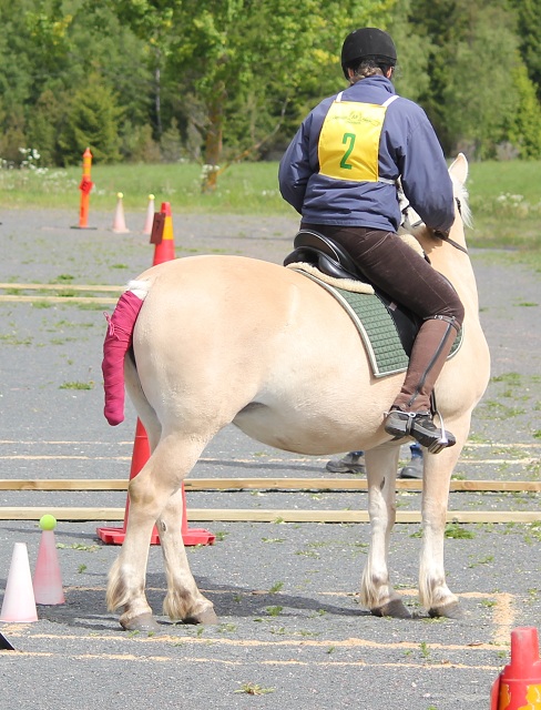 Desolett Kry 3271 och Helena