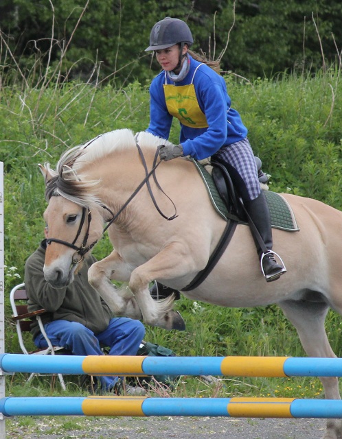 Desolett kry 3271 och Ella