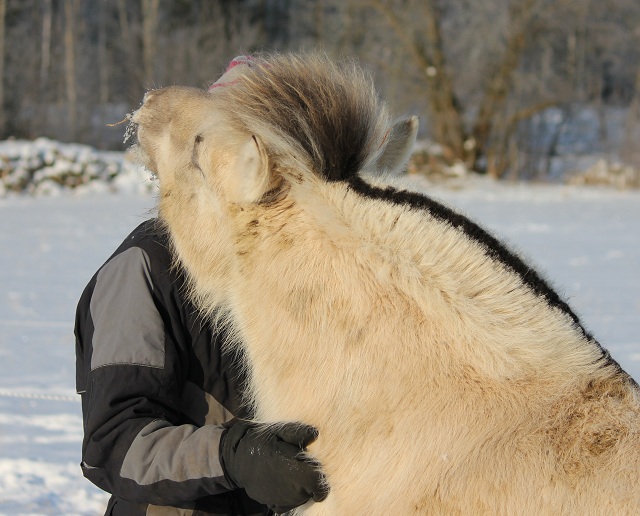 Grnosa Kry och Ella.