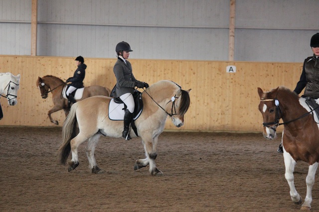 Haldol Kry och Ella.