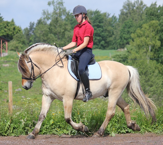 Haldol Kry 257 och Ella