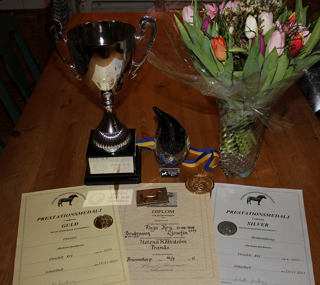 Hst- och hundpriser fr 2011