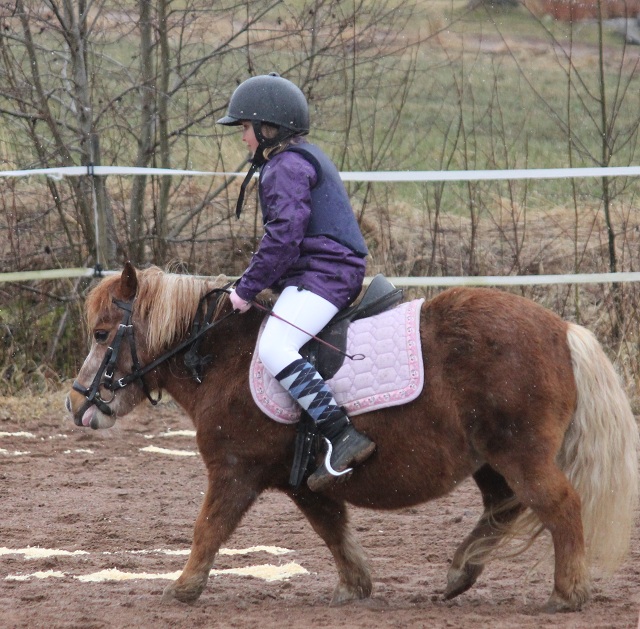 Alma kmpade p med Sally
