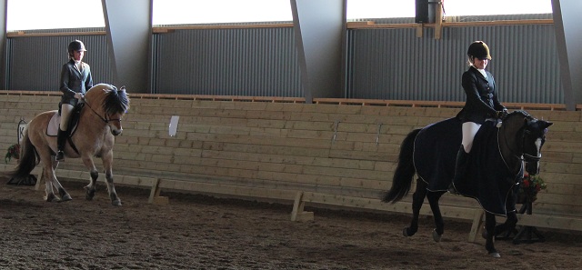 revarv med Haldol p andra plats!