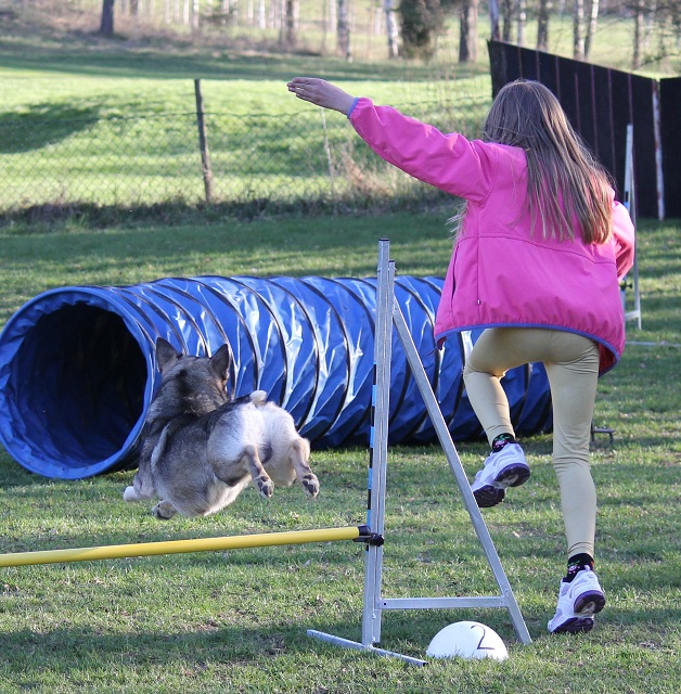 Unni och Humle trnar agility