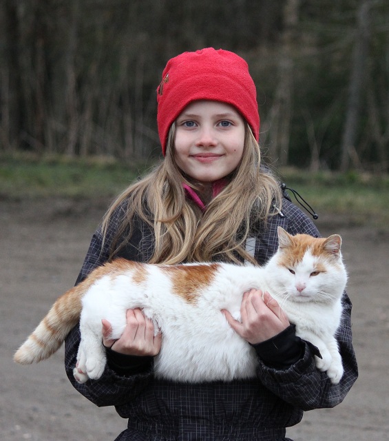 Katten Bullen