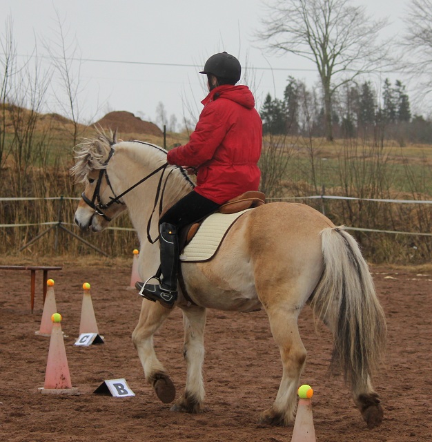 Jenny och Zamir p banan